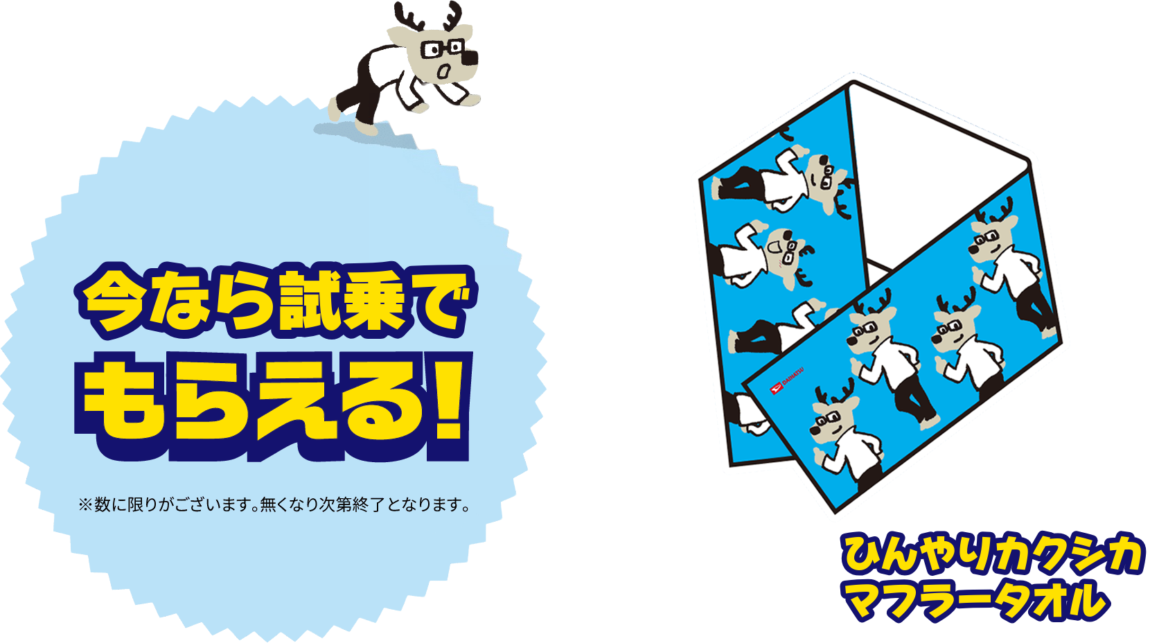 試乗でひんやりカクシカマフラータオル」※数に限りがございます。無くなり次第終了となります。